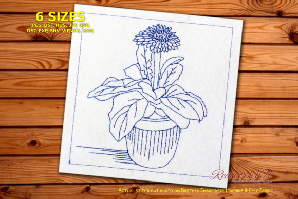 A Fresh Garbera Daisies Flower in Pot Design Review